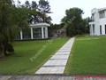 pic2
