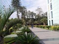pic20