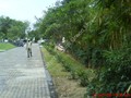 pic3